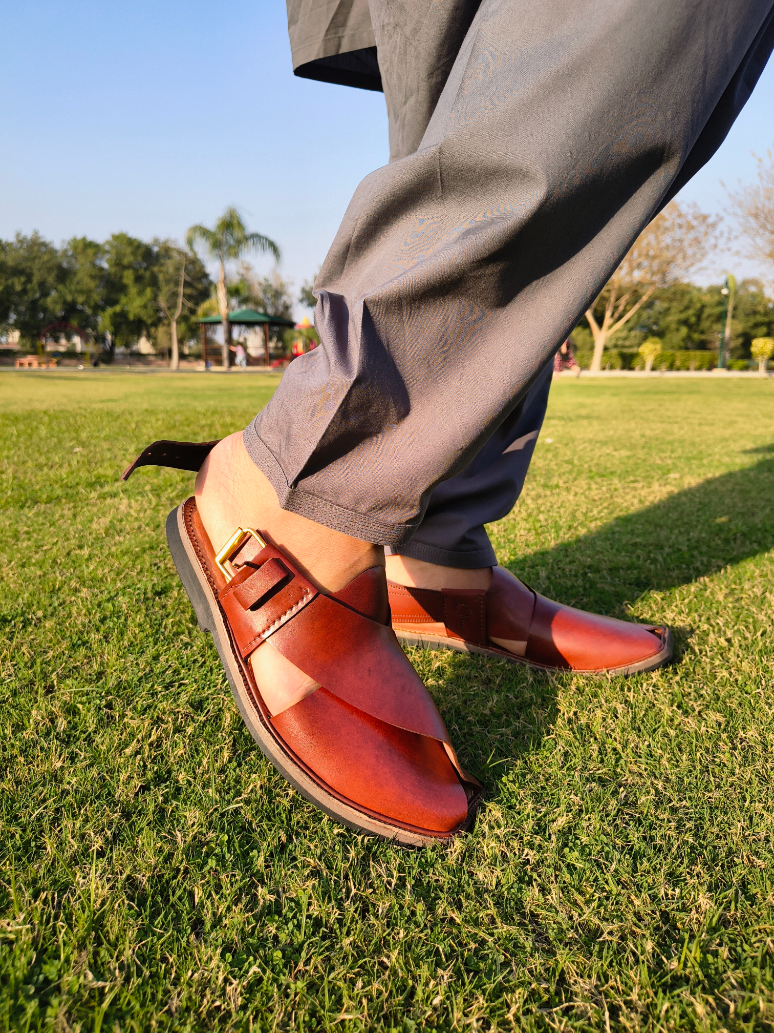 IMG_20260301_163523000_PCT-Photoroom (1)