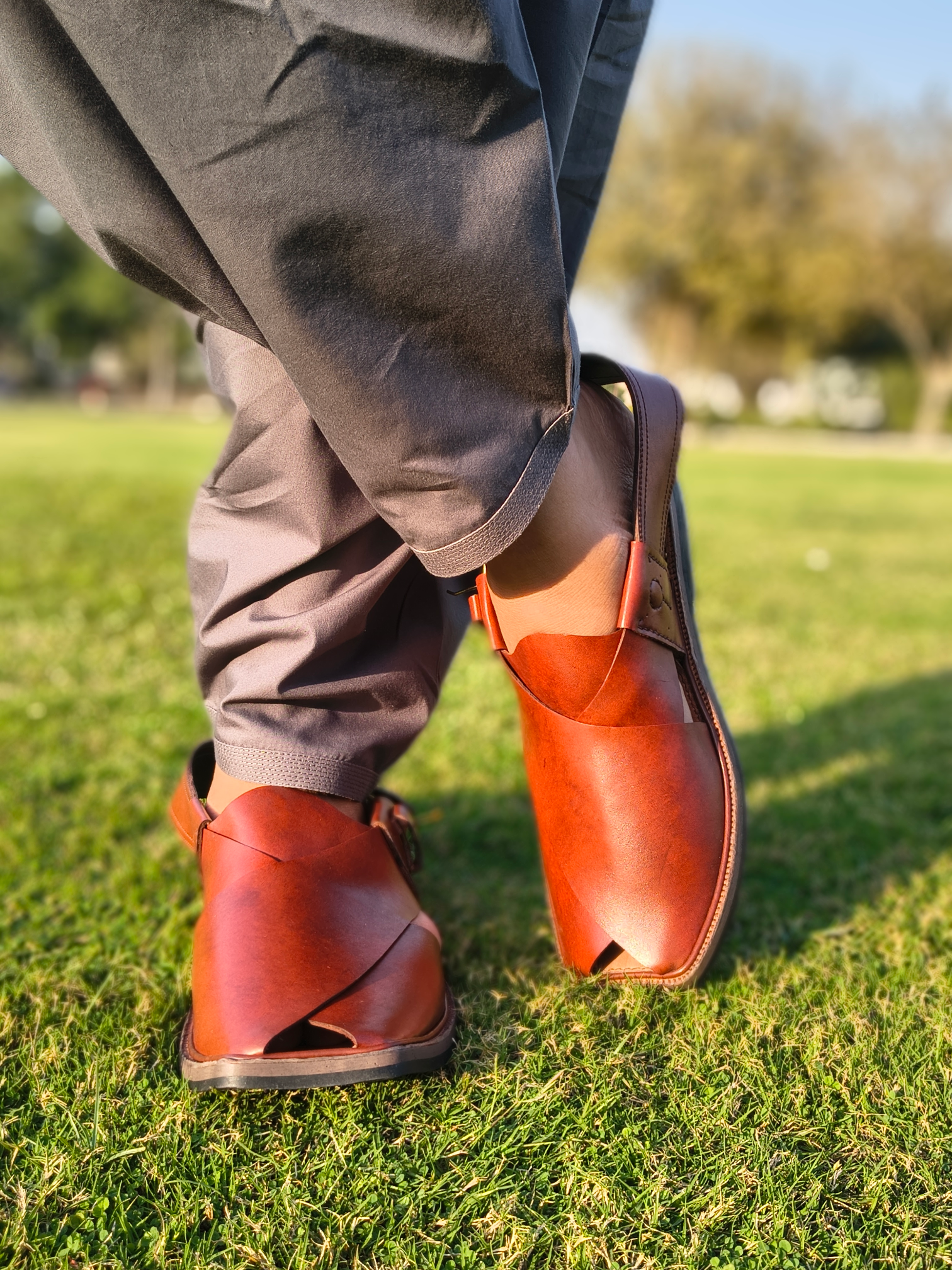 IMG_20260301_163533081_HDR_PORTRAIT-Photoroom