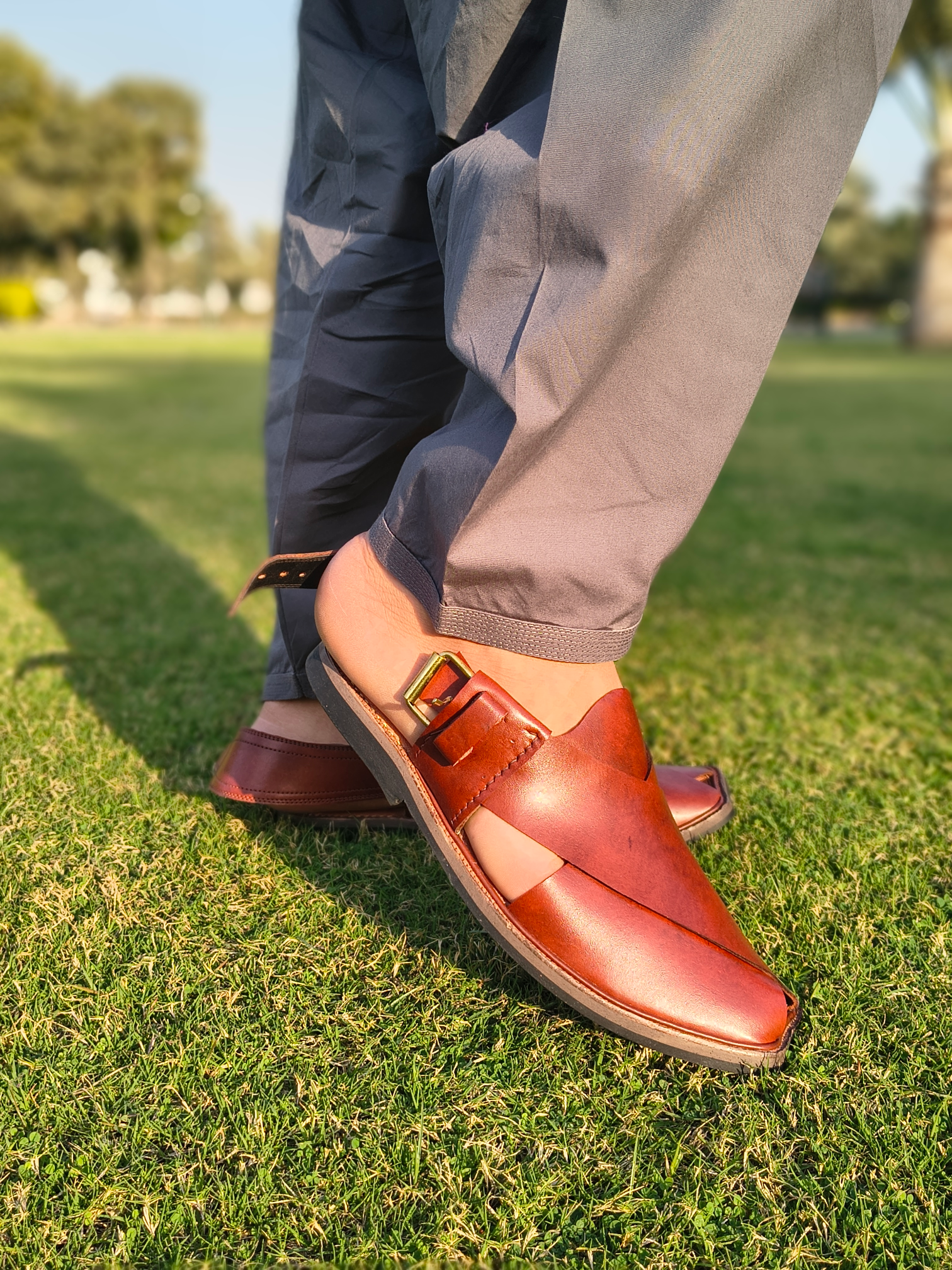 IMG_20260301_163601884_HDR_PORTRAIT-Photoroom